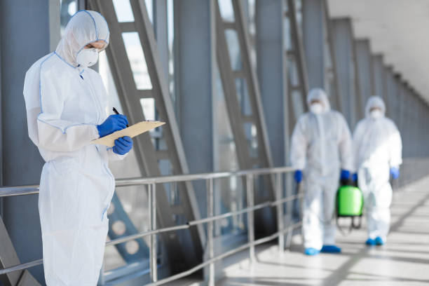 Best Water Damage & Mold Remediation  in Lyncourt, NY