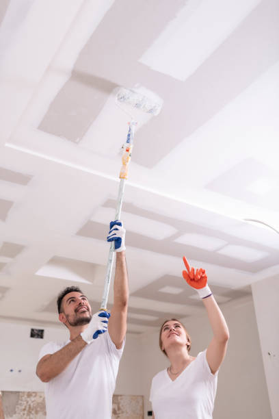 Lyncourt, NY Mold Removal Company