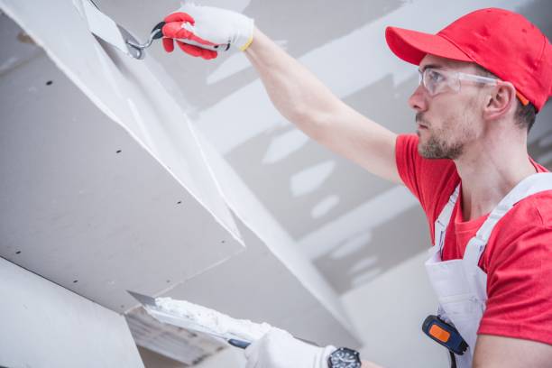 Best Environmental Consulting for Mold Prevention  in Lyncourt, NY